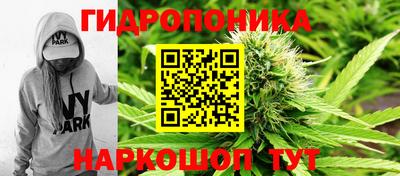 индика Славгород