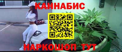 индика Славгород