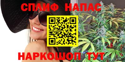 индика Славгород