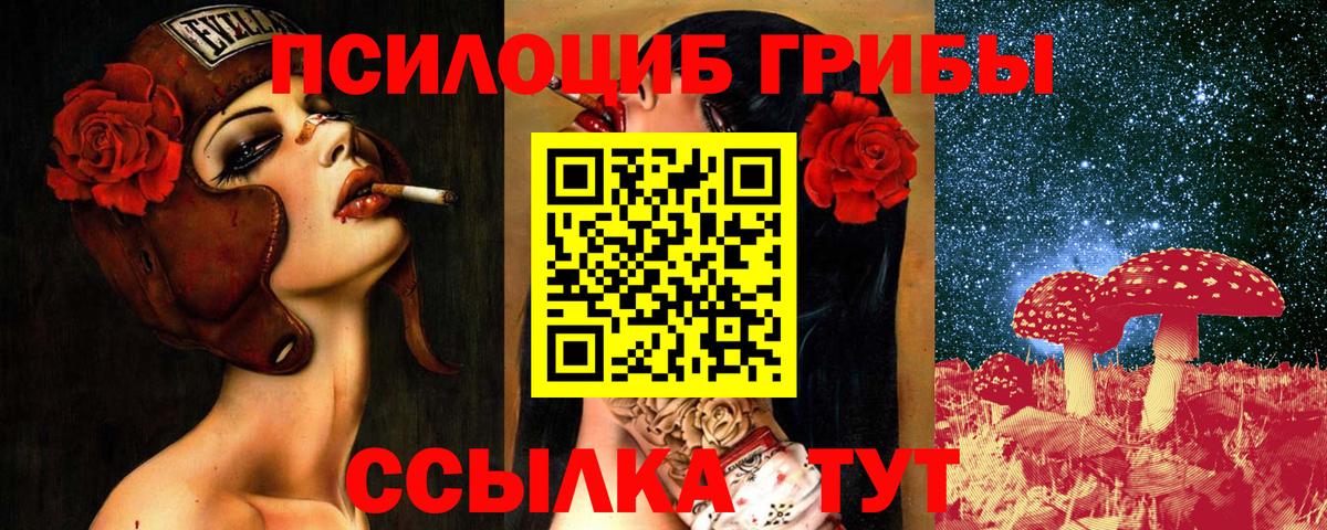 Псилоцибиновые грибы мицелий Сатка