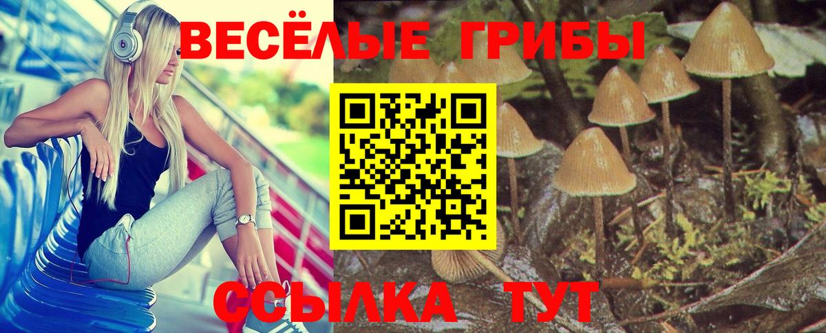 Сатка  Галлюциногенные грибы MAGIC MUSHROOMS  Вход с VPN 
